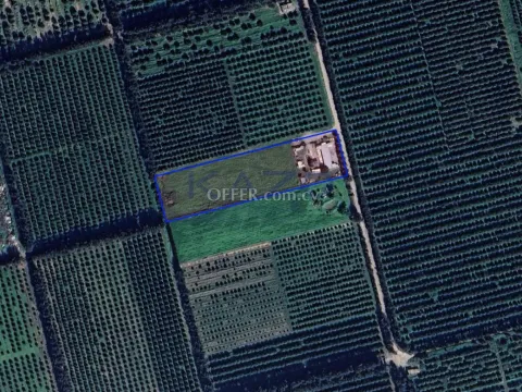 Large Field for Sale in Sunny Kolossi Village - Main Photo
