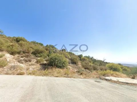 Large 6355m2 Field for Sale in Apesia Village (Landlocked) - Main Photo