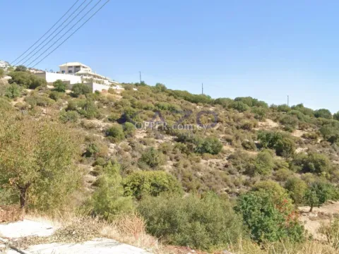 Large 6355m2 Field for Sale in Apesia Village (Landlocked) - 3