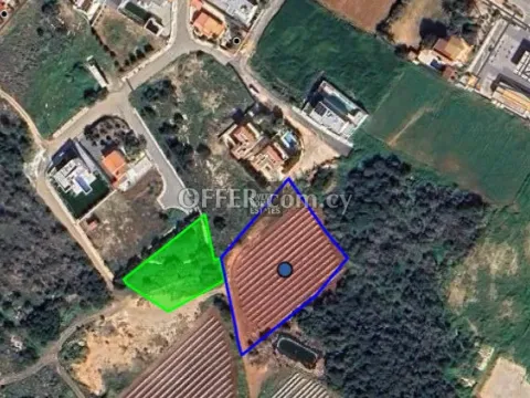 Share of Touristic Field in Protaras