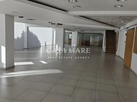 Commercial Space – 274 sq.m. in Strovolos, Nicosia - Main Photo