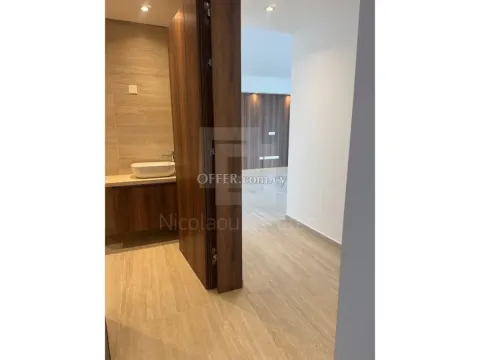 New Luxury three bedroom apartment for rent in Agia Sofia area of Strovolos - 8