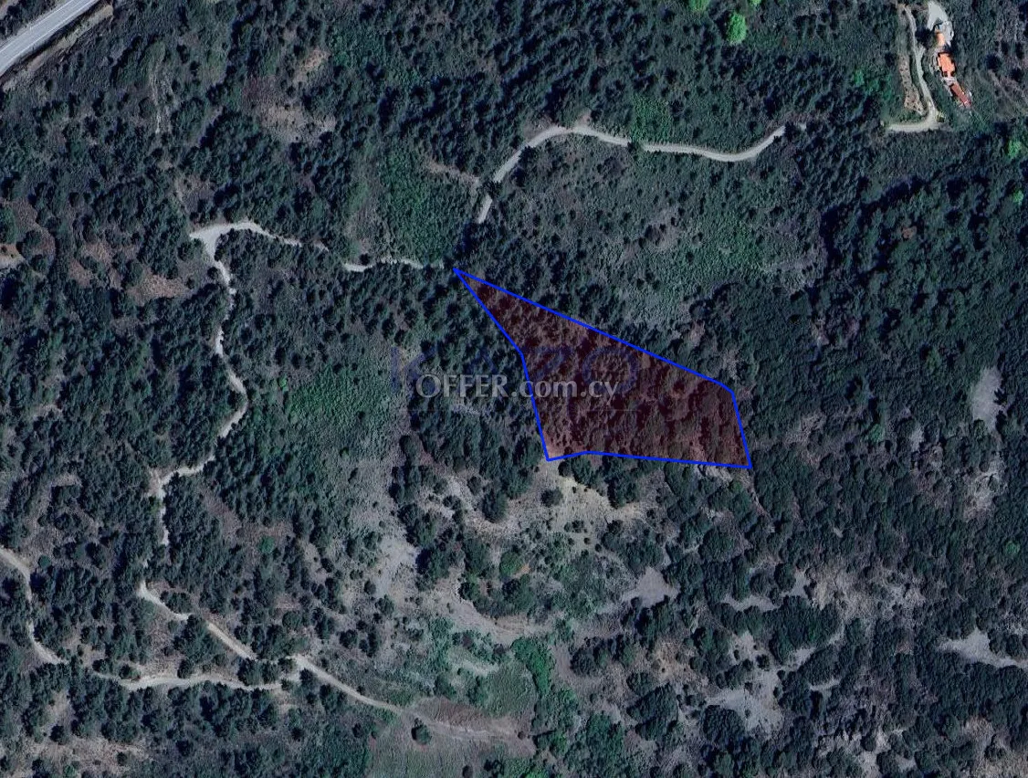 Large 7024m2 Field For Sale in Foini Village (Landlocked) - 1