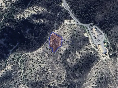 Large Field Plot for Sale in Green Asgata (Landlocked) - Main Photo