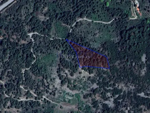 Large 7024m2 Field For Sale in Foini Village (Landlocked) - Main Photo
