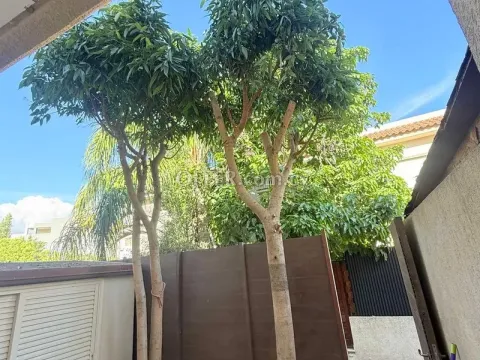 House (Maisonette) in Papas Area, Limassol for Sale - 2