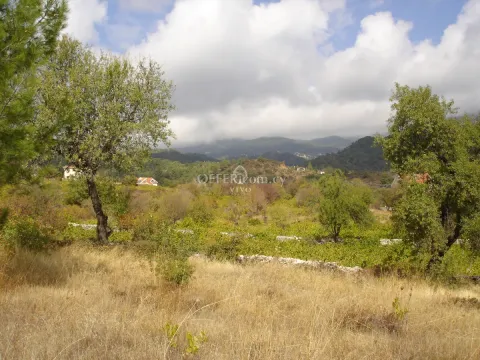 RESIDENTIAL LAND OF 6523 M2 IN PERA PEDI - Main Photo