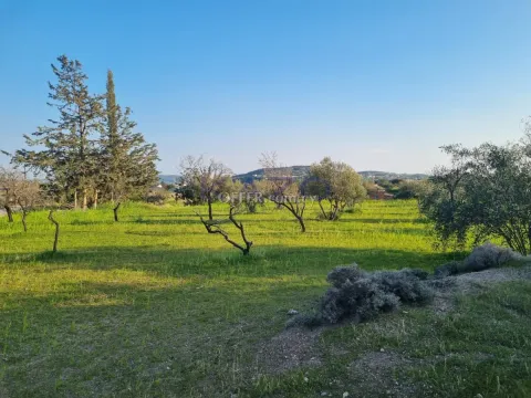 Large Residential Field for Sale in Parekklisia (Right of Way) - Main Photo