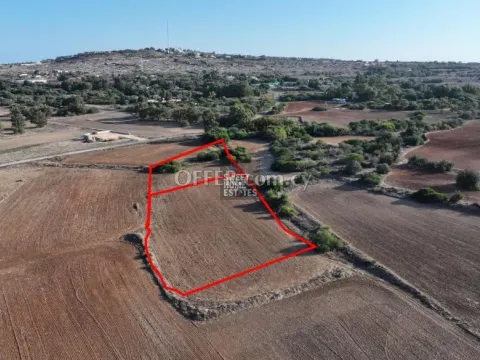 Two Shared Agricultural Fields in Agios Panteleimon, Protaras - 3