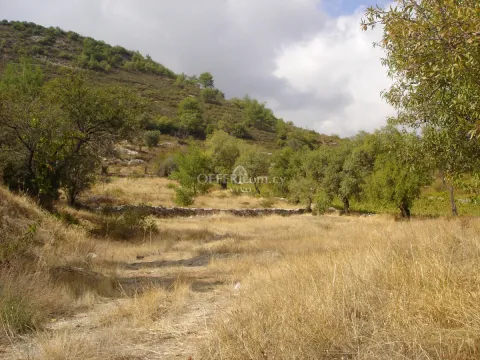 RESIDENTIAL LAND OF 6523 M2 IN PERA PEDI - 4