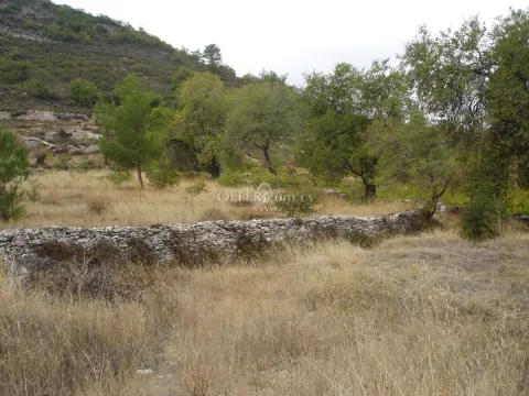 RESIDENTIAL LAND OF 6523 M2 IN PERA PEDI - 3