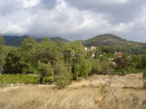 RESIDENTIAL LAND OF 6523 M2 IN PERA PEDI - 2