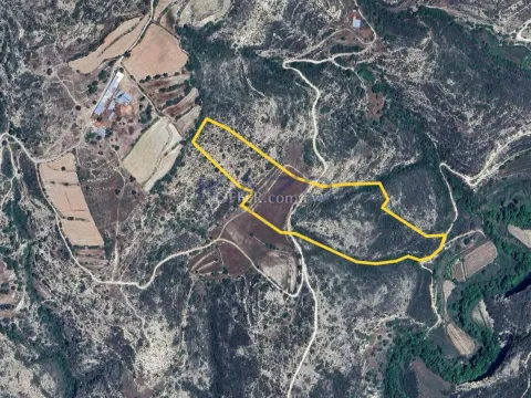 Large Dora Field Plot 61875m2 in Vineyard Area (Access via Registered Dirt road) - Main Photo