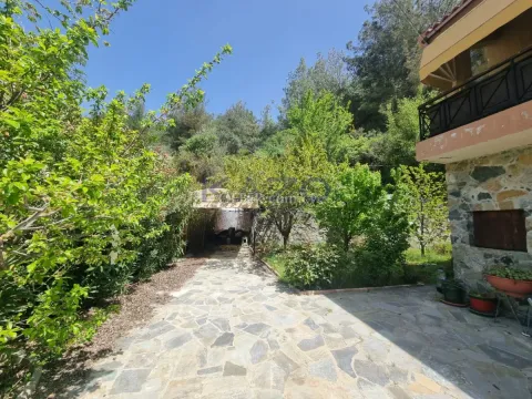 For Sale Detached House in Beautiful Mountain Platres - 7
