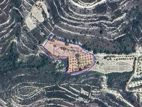 Large 4014m2 Field for Sale in Vouni (Right of Way) - Main Photo