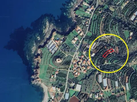 Large Development Plot for Sale in Nea Dimmata - Main Photo