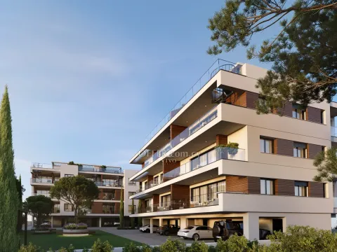 NEW THREE BEDROOM APARTMENT WITH ROOF GARDEN IN MESA GITONIA! - Main Photo