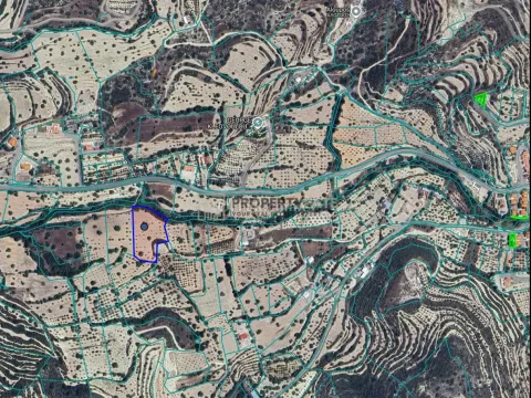 Agricultural Land for Sale in Fasoula - Main Photo