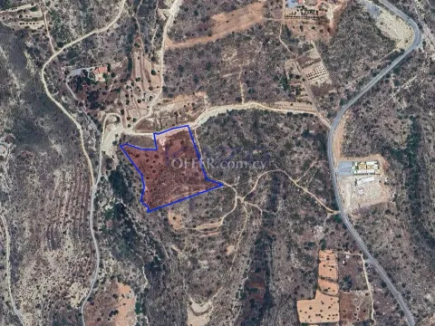 Large Field Plot for Sale in Agios Athanasios (Landlocked) - Main Photo