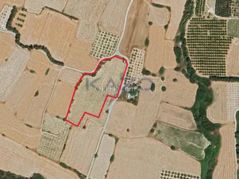Large Field for Sale in Quiet Paramali Village - Main Photo