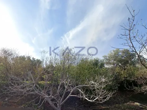 Large Development Plot for Sale in Nea Dimmata - 3