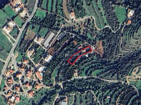 Large Development Plot for Sale in Nea Dimmata - 2
