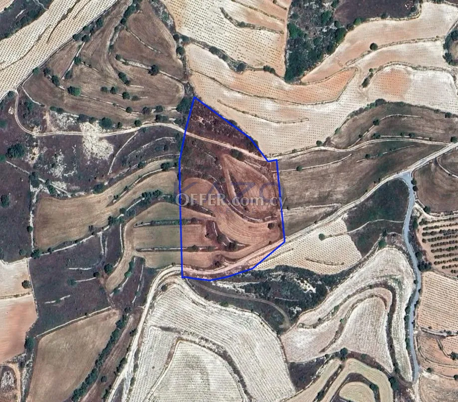 Large 13639m2 Field for Sale in Pachna Village - 1