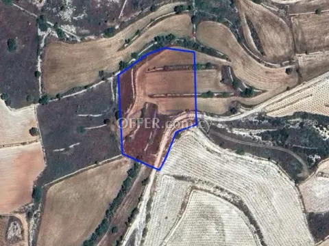 Large 6355m2 Field for Sale in Pachna Village - Main Photo