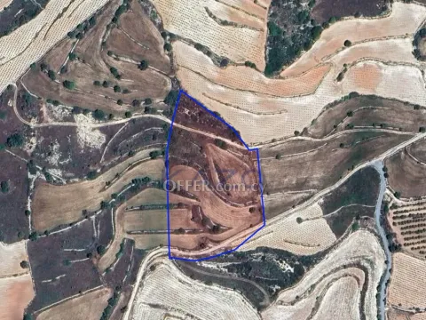Large 13639m2 Field for Sale in Pachna Village - Main Photo