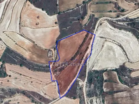 Large 15051 m2 Field for Sale in Pachna (Landlocked) - Main Photo
