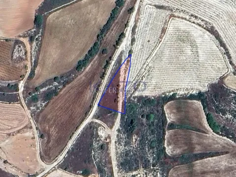 Large 1125 m2 Field for Sale in Pachna (Landlocked) - Main Photo