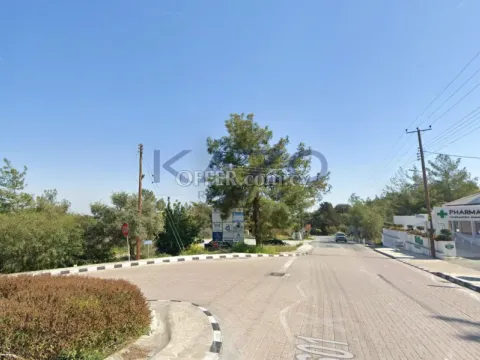 Large Development Land for Sale in Peaceful Souni (Public Road) - Main Photo
