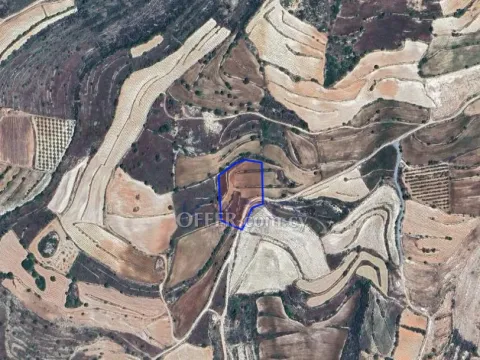 Large 6355m2 Field for Sale in Pachna Village - 2