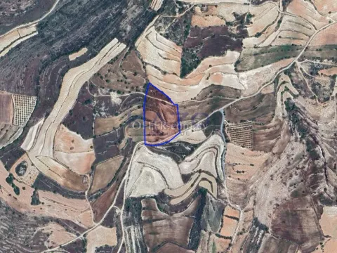Large 13639m2 Field for Sale in Pachna Village - 2
