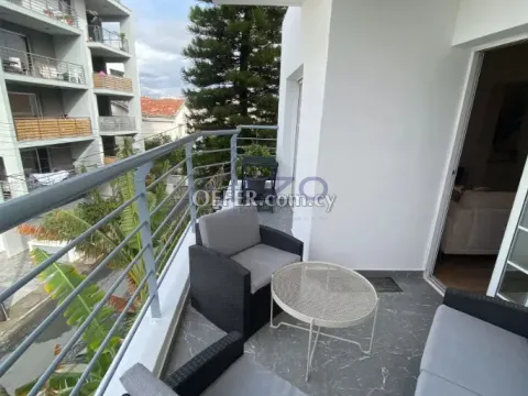 Modern Furnished 3 Bedroom Apartment in City Center - 12