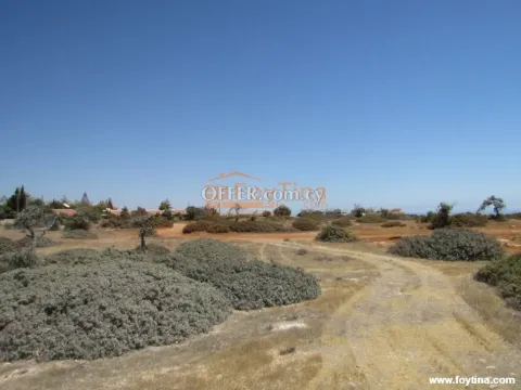 Land Parcel 33446 sm in Pissouri, Limassol - 9