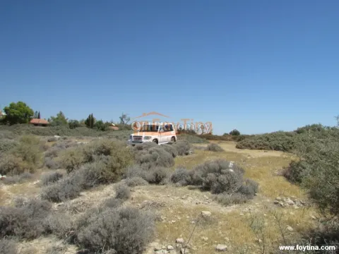 Land Parcel 33446 sm in Pissouri, Limassol - 8