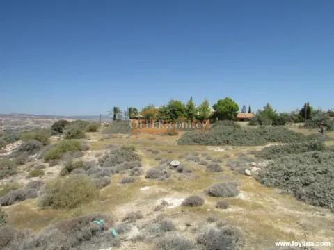 Land Parcel 33446 sm in Pissouri, Limassol - 6