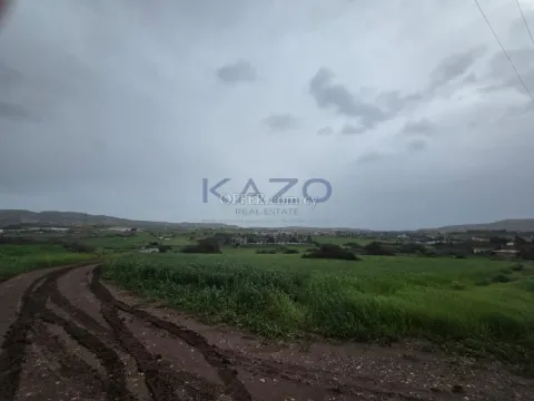 Large Development Land for Sale in Monagroulli Village - Main Photo