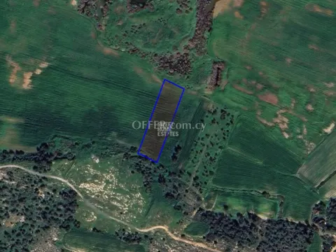 Agricultural Field in Saint Panteleimonas