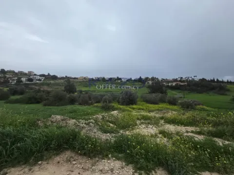 Large Pentakomo Field Plot for Sale 3011m2 - Main Photo