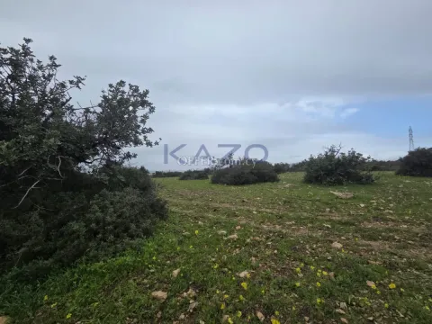 Large 6000m2 Field for Sale in Pentakomo - Main Photo