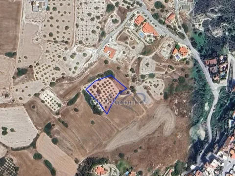 Large Pentakomo Field Plot for Sale 3011m2 - 4