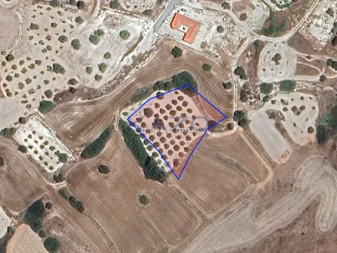 Large Pentakomo Field Plot for Sale 3011m2 - 3