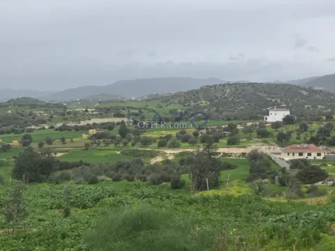 Large Pentakomo Field Plot for Sale 3011m2 - 2