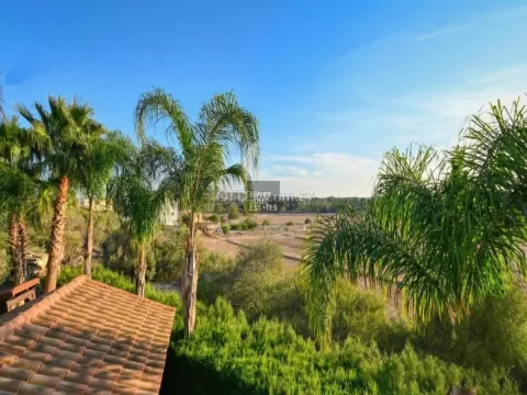 Five Bedroom Villa in Saint Panteleimonas, Protaras - 12