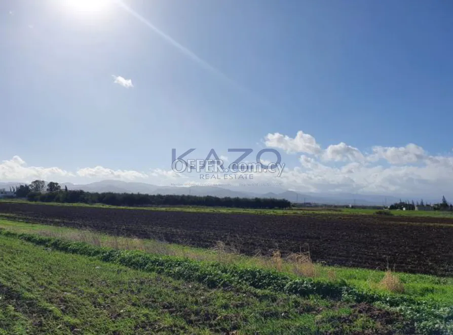 Large Residential Field for Sale Peristerona Village - 3