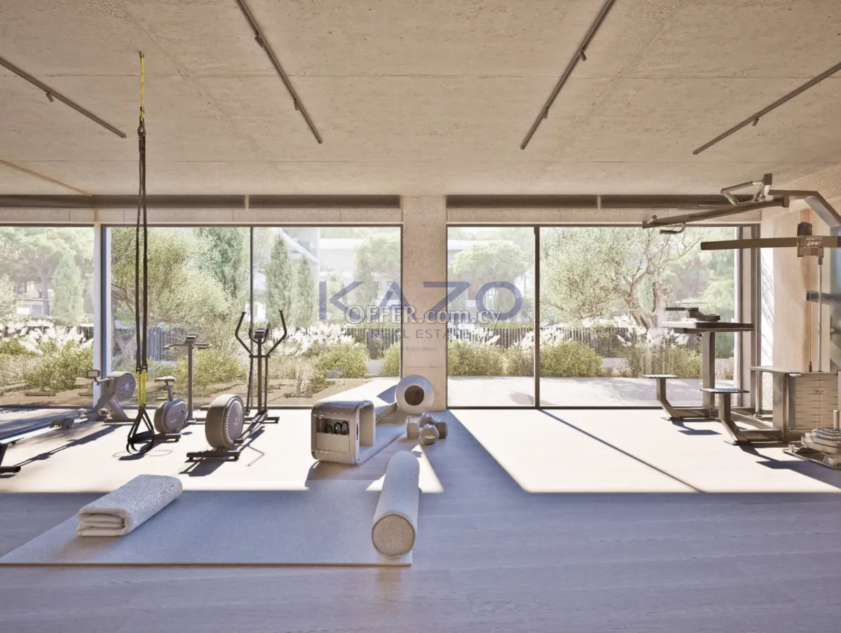 Beautiful Top Floor Apartment with Gym in Green Asomatos - 8