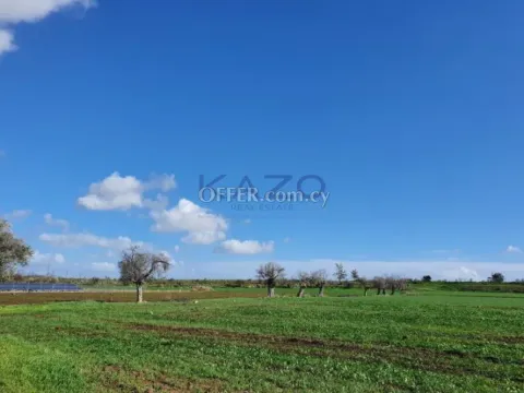 Large Field for Sale in Peaceful Peristerona Area - Main Photo