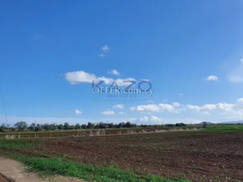 Large Field Plot for Sale in Peristerona Village - Main Photo
